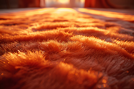 绒毛地毯奢华绒面地毯背景