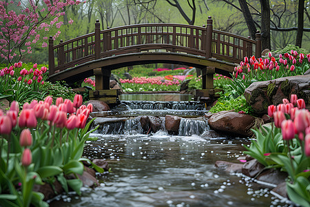公园的溪流美丽的春天高清图片