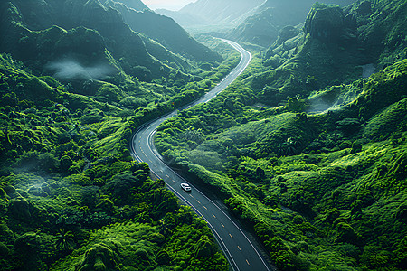 树木手绘山间的公路背景