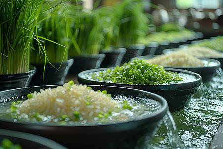 清洗的大米和蔬菜图片