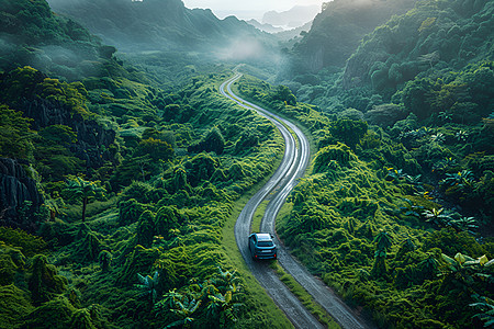 森林中的公路图片