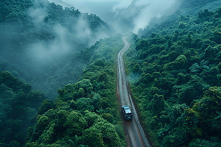 苍翠山林中的车图片