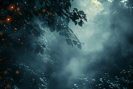 雾霭里的森林图片