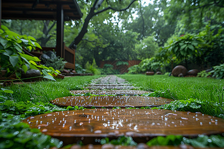 雨中花园的小径图片
