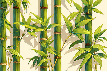 清新绿色的竹子插画图片