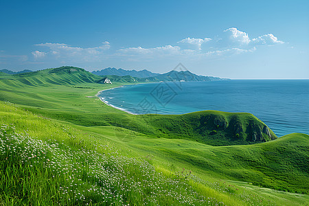 湖边的草地图片