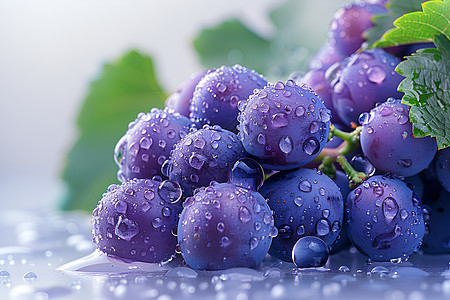 水滴晶莹的紫色葡萄图片