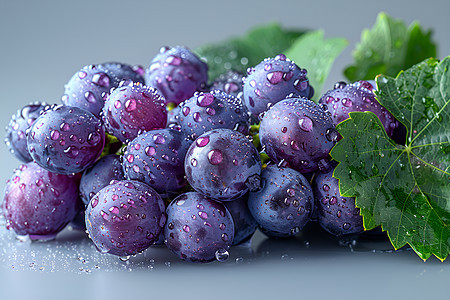 水滴结满的紫葡萄图片