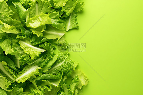 健康新鲜的青菜图片