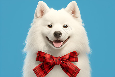 可爱的白狗戴红色领结图片