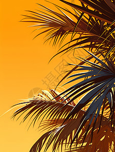 黄色背景上的棕榈树图片