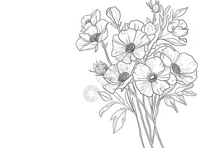 黑色线条勾勒出的花朵图片