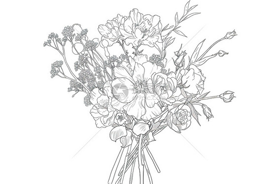 一束素描花卉图片