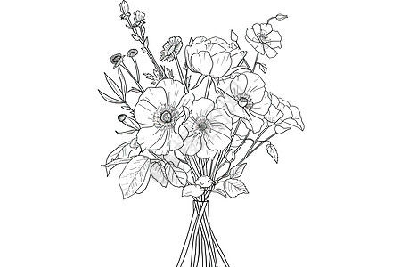 线条花卉素描图片