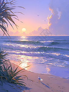 日出的海岸线图片