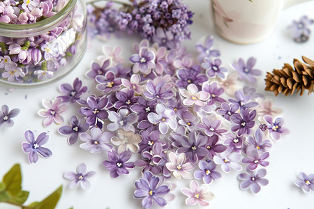 桌上的紫色花瓣图片
