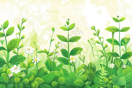 艺术中的绿色植物图片