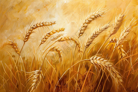 麦田中的麦穗绘画图片
