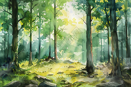 美丽的森林插画图片