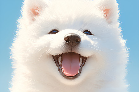 欢乐的萨摩耶犬图片