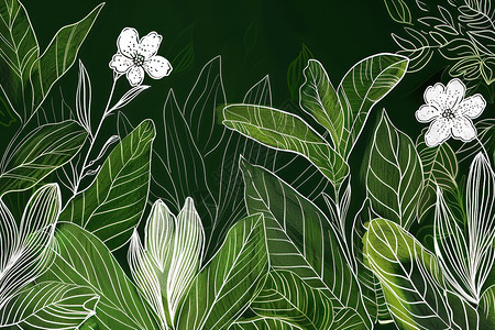 绿白植物细描图片