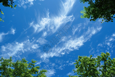 蓝天白云前景有树木图片