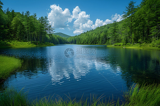夏日清幽湖泊图片