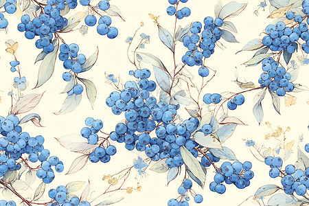 蓝莓插画背景图片