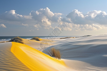 沙滩上的黄色沙丘图片