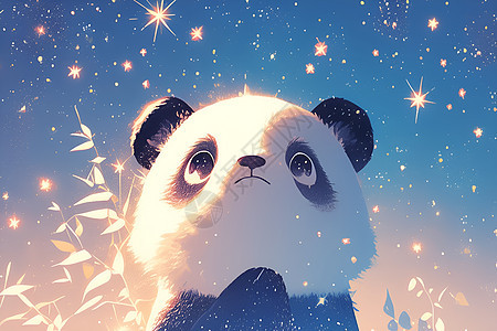 星空下的熊猫图片