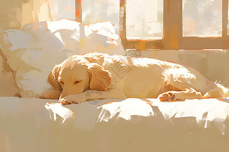 温暖阳光中的小狗图片