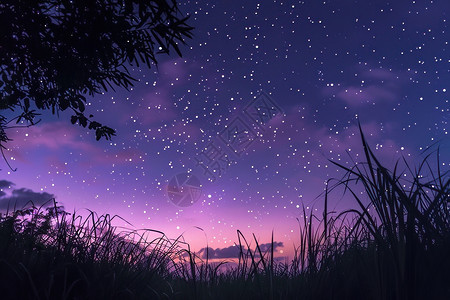 夜空下的星云与草丛图片