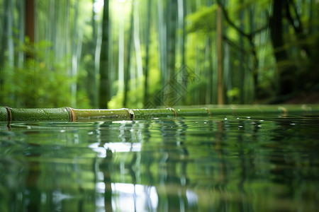 静谧的竹林上漂浮一根竹子图片