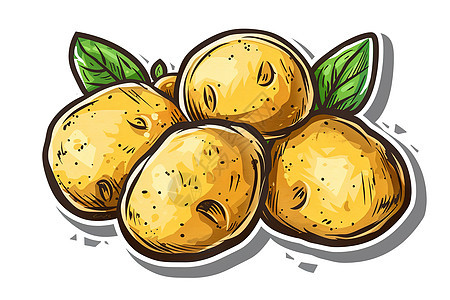 土豆和叶子的插画图片