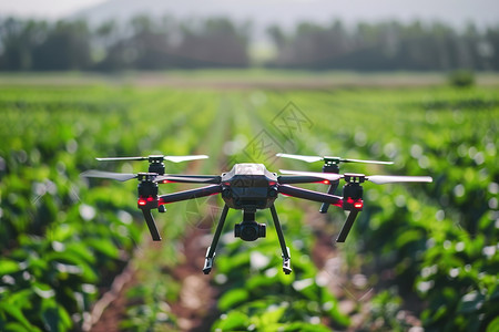 无人机在农田上方图片