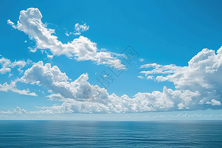 青天白云下的海洋图片