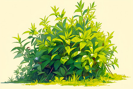 生长的绿色植物图片