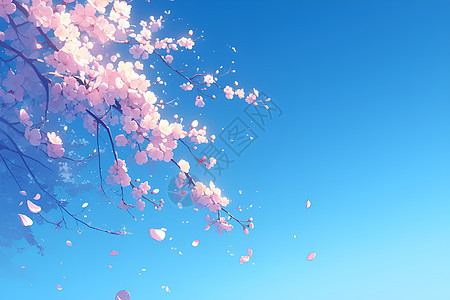 蔚蓝天空中的粉红樱花树图片