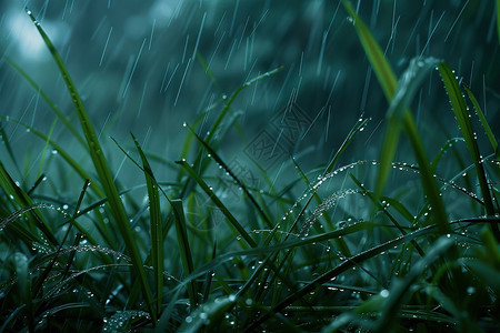 雨滴在草地上图片