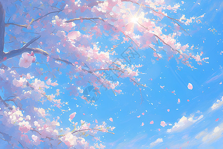 盛开的樱花插画图片