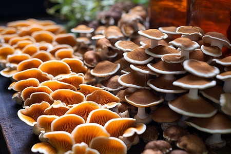 鲜美可口的蘑菇图片