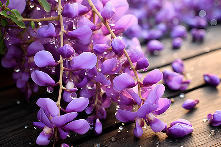 紫色绣球花盛开图片