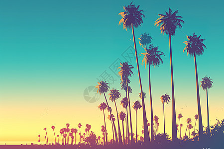 夕阳下的椰树图片