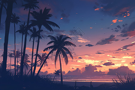 日落时分的椰树图片