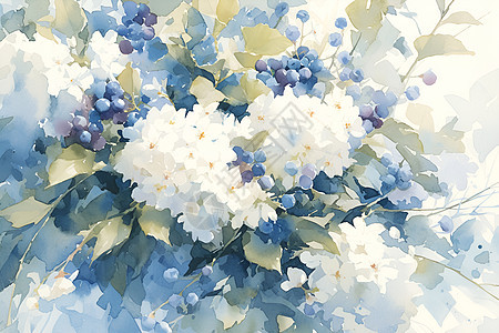 白色绣球花的插画图片