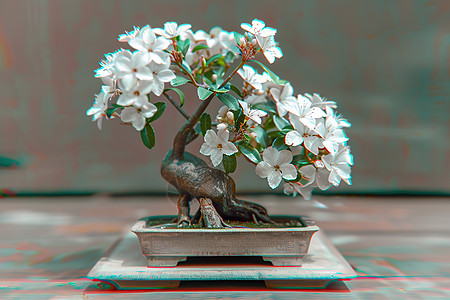 白花盆栽在桌上图片