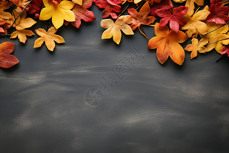 黑板上的落叶图片