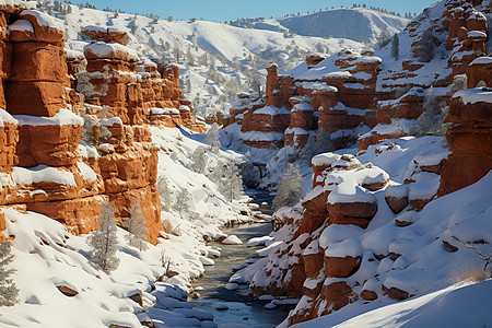 壮美的冬日峡谷图片