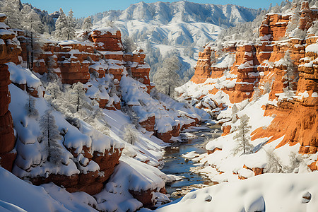冬日的峡谷图片
