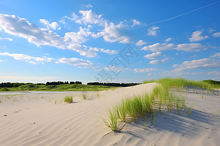 沙丘沙漠风景图片